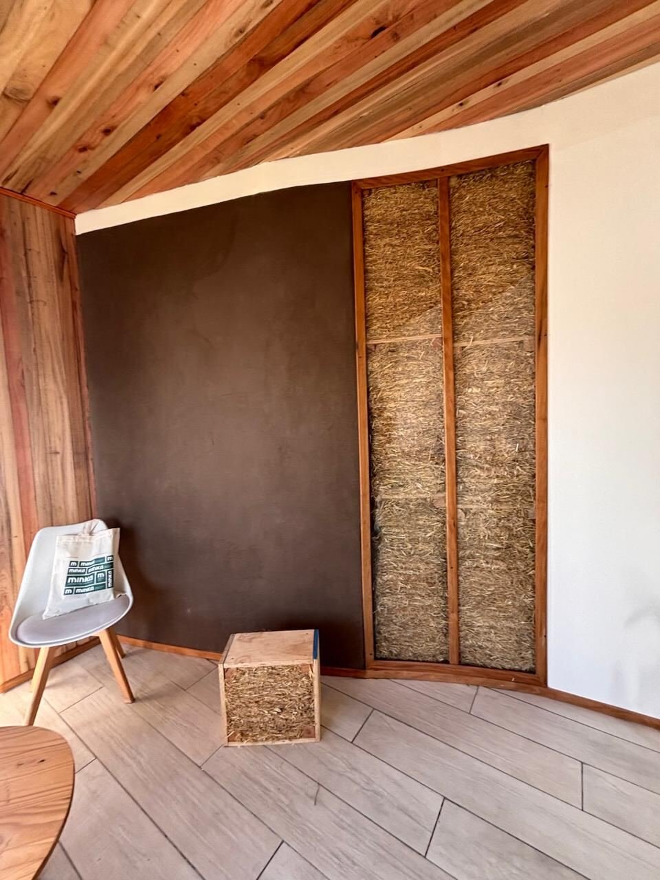 Red BioSIP — obra en construcción 05