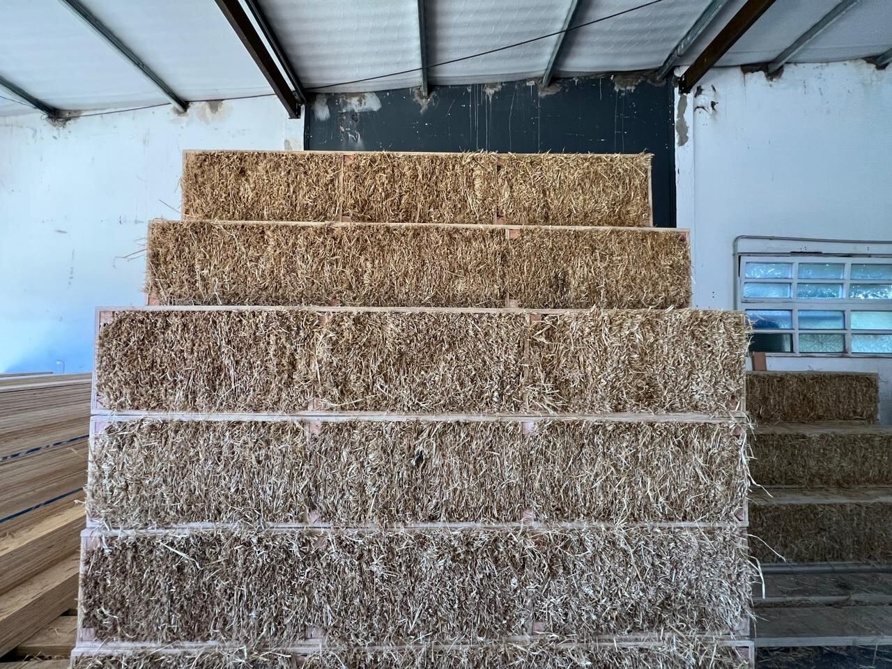 Red BioSIP — obra en construcción 06