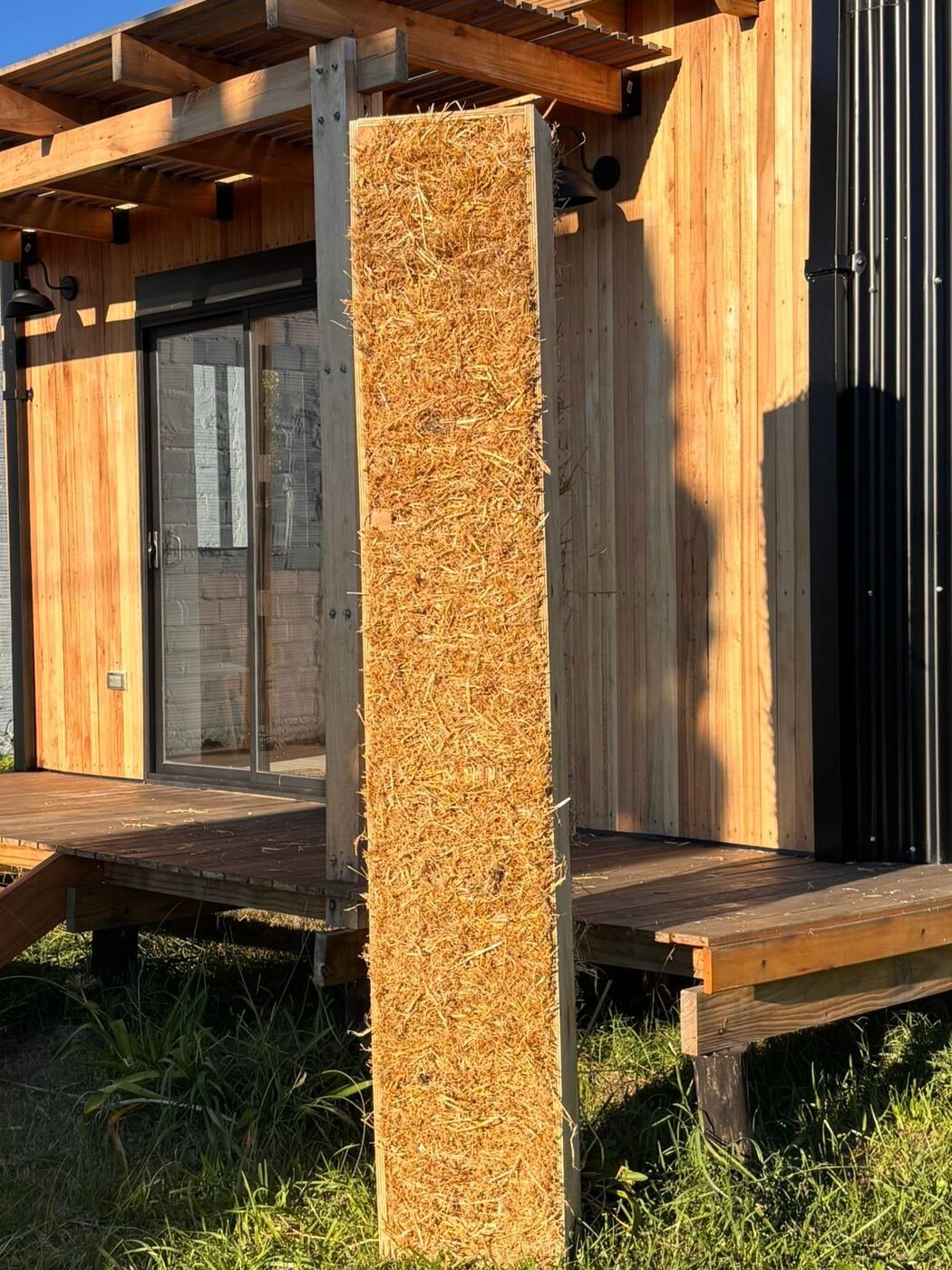 Red BioSIP — obra en construcción 07